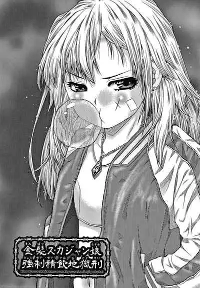 [Haku] Bishoujo Koushuu Nikubenki