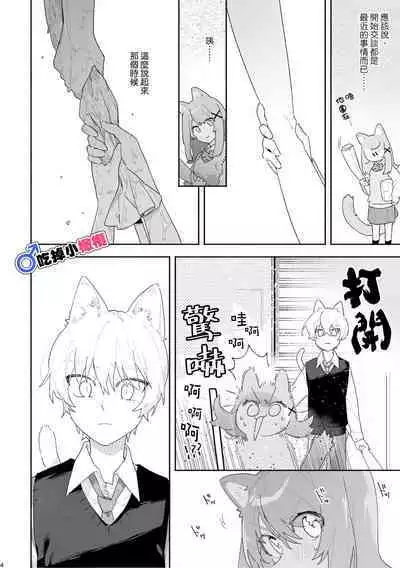 [pink carrot (usachanGET)]  ♂ ga Uke. Neko-chan x Neko-kun | 吃掉小公貓。小貓咪X貓同學 [Chinese] [橄榄汉化组]