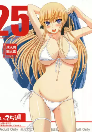 (C88) [Shiawase Kyouwakoku (Shiawase no Katachi)] Katashibu 40-shuu + Kaijou Genteibon [English] [P²-Translations]