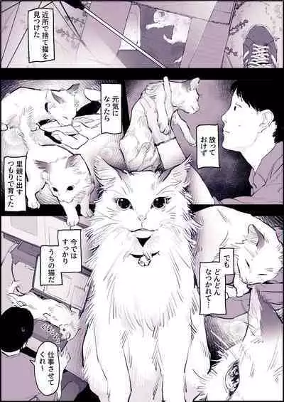 [ぽりうれたん] ねこ