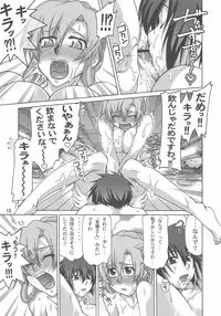 (C73) [GOLD RUSH (Suzuki Address)] A Diva of Healing III (Gundam SEED DESTINY)