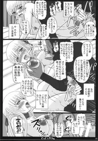 (C89) [Shiawase Kyouwakoku (Shiawase no Katachi)] Shiawase no Katachi no Guruguru Netachou 83R + Paper
