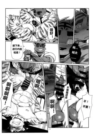 【Mitsuru Building（wasp）】【违禁品】Things They Cannot Bring On Board 【chinese】【Digtal】