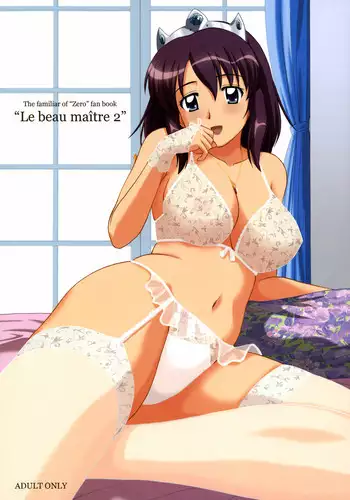 (C72) [G-SCAN CORP. (Satou Chagashi)] Le beau maitre 2 (Zero no Tsukaima) [Chinese] [?????????]