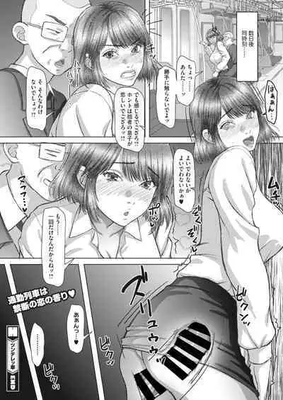 COMIC HOTMiLK Koime Vol. 41