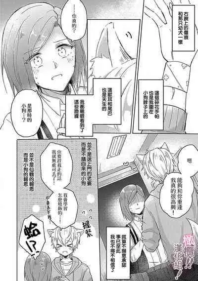 [Nakajō uni] osuwari! Mate! Namecha dame! ! Zen kōtei-kei wan ko ni kyūai sa retemasu~01-04｜坐下！等待！那个不能舔！！被全肯定系小狗猛烈求爱~01-04话[中文] [橄榄汉化组]