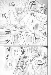 (SUPERKansai21) [Kagamichaya (Tokio)] Ore no Aruji ga Oujo de Koibito de Hikaeme ni Itte Chou Aishiteru! (Fire Emblem if)