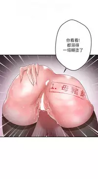 母豬養成計畫【中文】