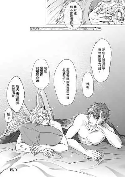 Fukurou no Koiwazurai | 猫头鹰的相思病