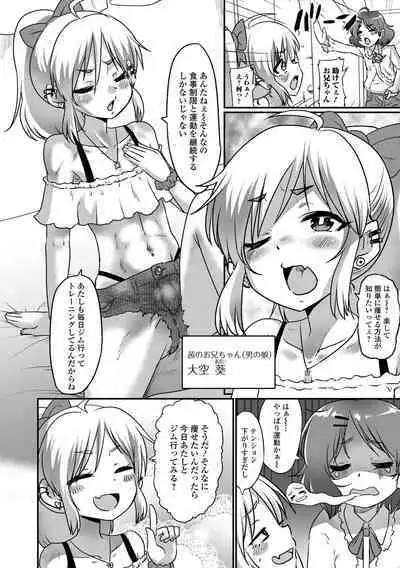 Kawaii Otokonoko wa Suki Desuka?