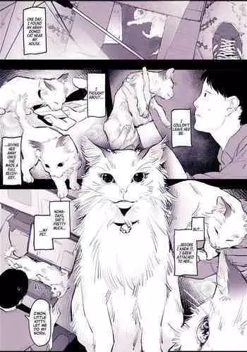 Neko