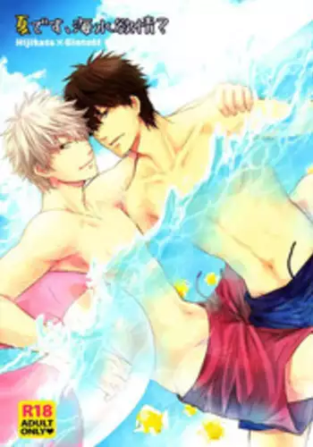 (C80) [Iro Rabbit (Arima)] Natsu desu, Kaisui Yokujou? | It's Summer, Do You Long for the Sea? (Gintama) [English]