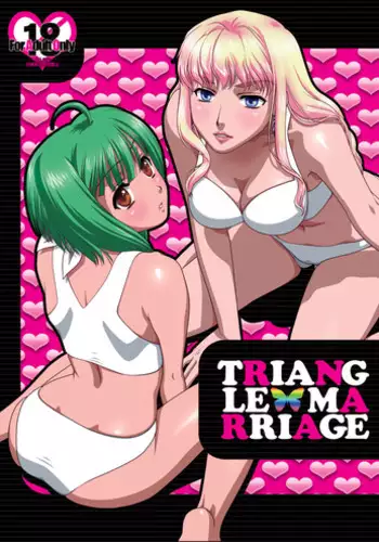 [Intoku.info (Endou Hiroto)] Tsundere-chan wa Muriyari-gimi ga Osuki! [Digital]