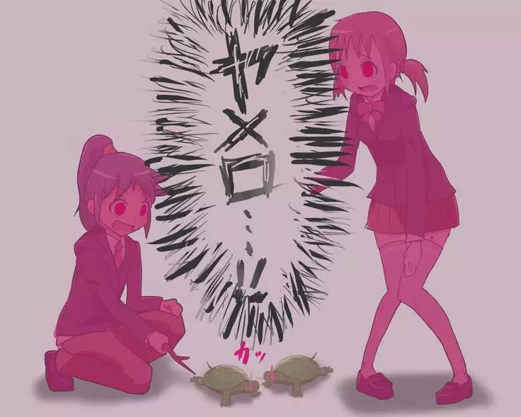 呪いの亀