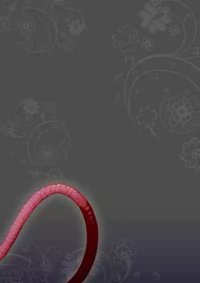 Bouken no Sho Series Soushuuhen - The Adventurer's Log Has Been Fully Recovered Vol. 1