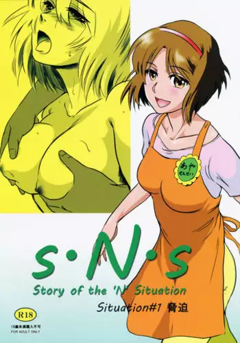 (C86) [MASHIRA-DOU (Mashiraga Aki)] Story of the 'N' Situation - Situation#1 Kyouhaku