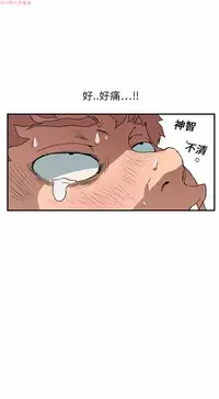 继母  Chinese 1-26