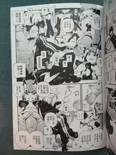 CHALDEA MANIA - Minamoto no Raikou | 迦勒底狂熱．源賴光