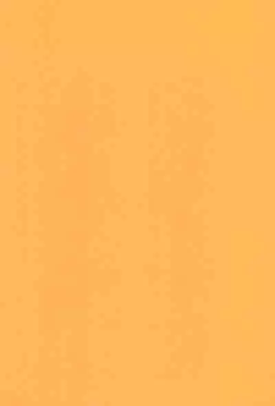 (Boys Parade 4) [Reiwa no Kumaya-san (Tori)] Souta-nyan ni naru nyaa | Kanata-nyan Becomes a Cat nya~ [English] {Chin²}