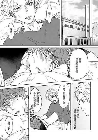 Fukurou no Koiwazurai | 猫头鹰的相思病