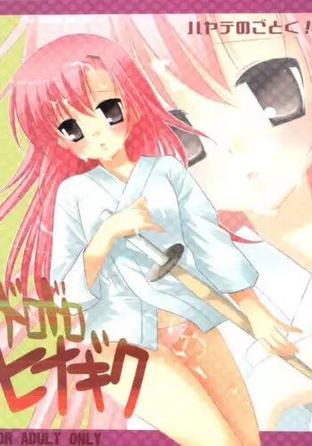 [Nagiyamasugi (Nagiyama)] Dorodoro Hinagiku  (Hayate no Gotoku!)