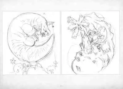 ALICESOFT ORION SCRIBBLES with CROQUIS ULTIMATE EDITION VOL.2 織音計画特別版  ラフ画集