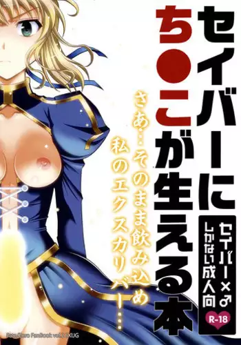 (C82) [SKUG (BUSHI)] Saber ni Chinko ga Haeru Hon (Fate/zero) [Chinese] [????]