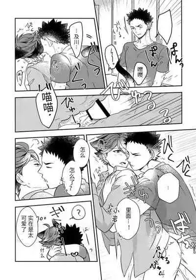 我想成为小岩的猫4 I want to become Iwa-chan's Cat! 4