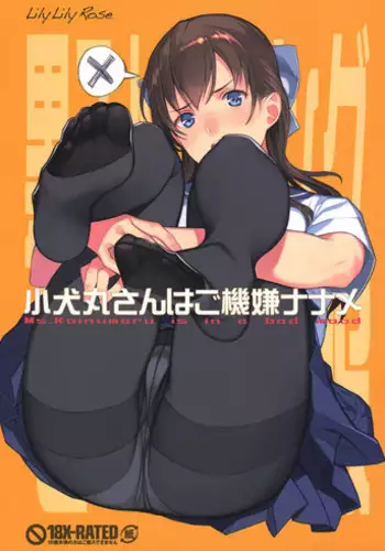 (C90) [LilyLilyRose (Mibu Natsuki)] Koinumaru-san wa Gokigen Naname [Chinese] [無邪気漢化組]