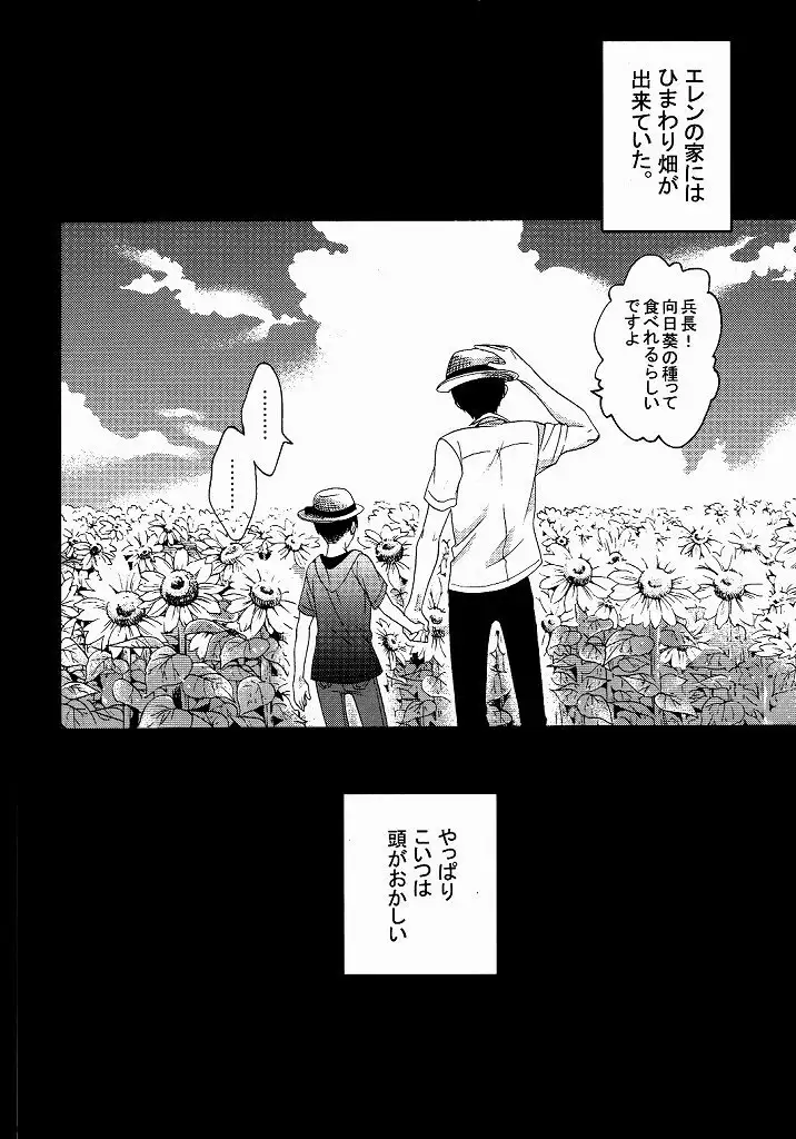 向日葵の咲く冬
