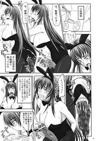 (A3) [Nozarashi (Nozarashi Satoru)] Misshitsu de Kyoubou Bunny Hime to Futarikiri.