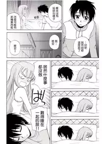 (C71) [G-SCAN CORP (Satou Chagashi)] Le beau maitre (Zero no Tsukaima) [Chinese] [最愛路易絲澪漢化組]