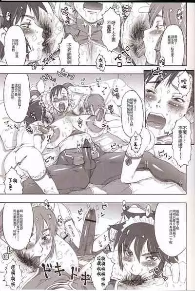 (C70) [Niku Ringo (Kakugari Kyoudai)] NIPPON Onna HEROINE 2 (Darkstalkers, Street Fighter) [Chinese] [不可视汉化] [Incomplete]