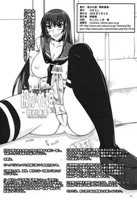 (Futaket 4) [Nozarashi (Nozarashi Satoru)] Shigokare Hime -Densha Tsuugaku- | Used Princess [English] [SaHa]
