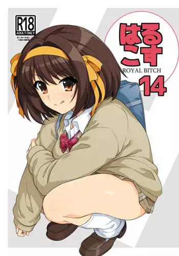 Harucos 14