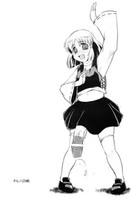 (Futaket 8.5) [Sekitan Bukuro (Fey Tas)] P-TYPE (Touhou Project)