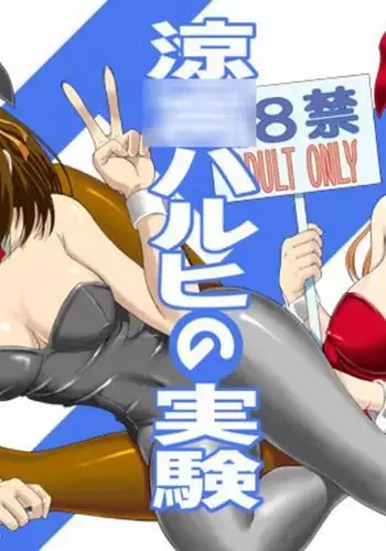 |宝可梦的故事（呜鸟木个人汉化组）