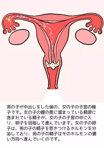 Shishunki no Otokonoko no Tame no Seikyouiku Onnanoko o Ninshin saseru Tame no Nakadashi Sex Nyuumon