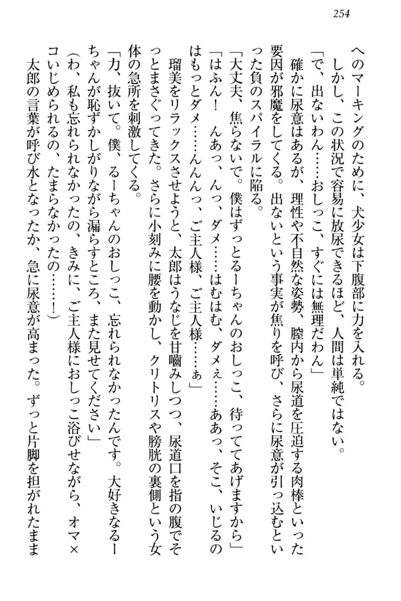 Boku to Ruu Senpai no Houkago Choukyou Nisshi - Kyou mo Watashi o Shitsukenasai!