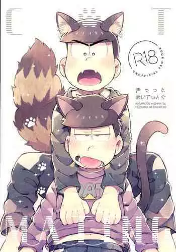 CAT MATING