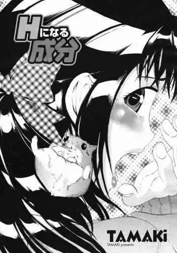 H ni Naru Seibun