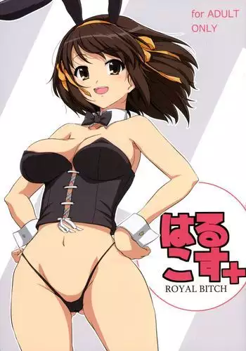 人妻がセックスする本