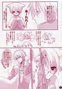 (C67) [Shounen x Shoujo (Kisaragi Mizu)] Ichigo Drop (Ragnarok Online)