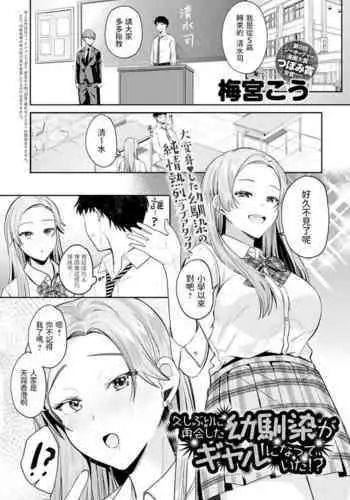 Hisashiburi ni Saikai shita Osananajimi ga Gal ni Natteita!?