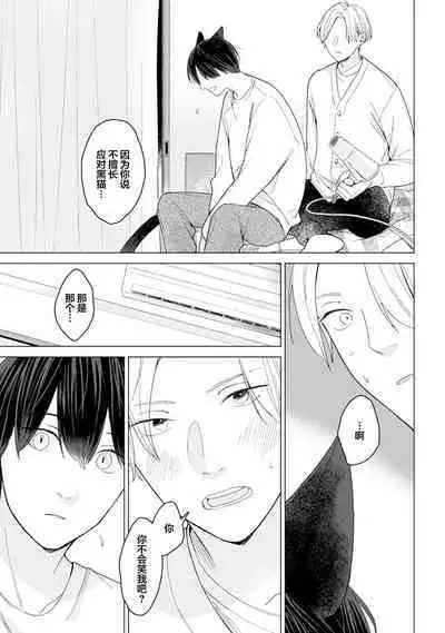 恋爱中的猫咪想被抚摸