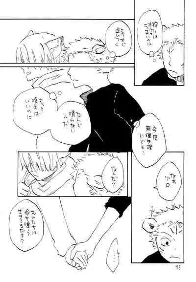 海の虹が沈む森