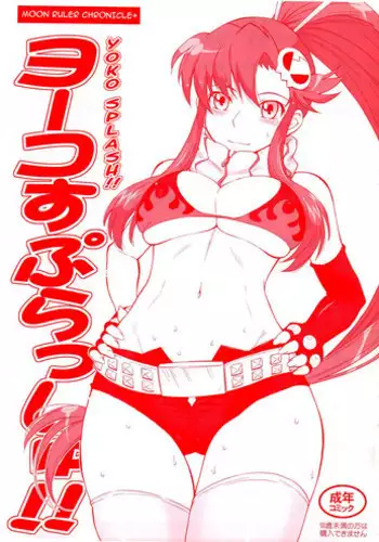 (C72) [T.cop (Natsuki Kiyohito)] Yoko mo Ushiro wa Suki Darake!! (Tengen Toppa Gurren Lagann) [Chinese] [黑条汉化]