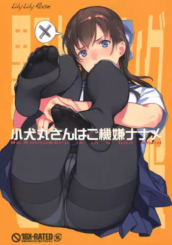 (C90) [LilyLilyRose (Mibu Natsuki)] Koinumaru-san wa Gokigen Naname [Chinese] [無邪気漢化組]