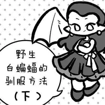 黎明夜船
