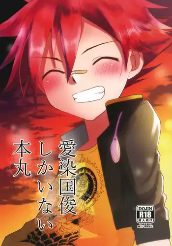 [Akebi] 年納めまんが (Touken Ranbu)